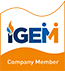 IGem