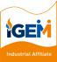 IGem